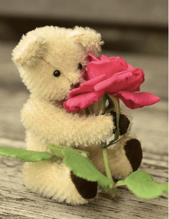 Nora Kate Bel-Long Obituary